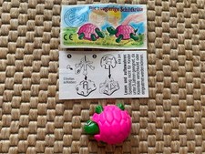 Neugierige schildkröte 618241 gebraucht kaufen  Neubrandenburg