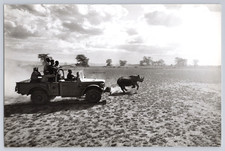 1962 hatari tournage d'occasion  Viry-Châtillon