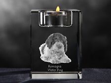 Lagotto romagnolo bougeoir d'occasion  Expédié en France