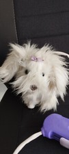 Ani magic hund gebraucht kaufen  Alsdorf
