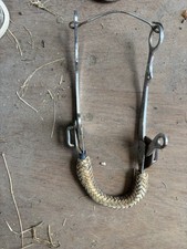 Raw hide horse for sale  Marion