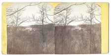 August Schell Brewer New Ulm Minnesota Stereoview Breweriana comprar usado  Enviando para Brazil
