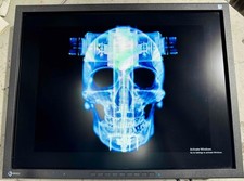 Monitor Eizo Flexscan S2133 21 polegadas 1600x1200 tela de diagnóstico, usado comprar usado Monitor Eizo Flexscan S2133 21 polegadas 1600x1200 tela de diagnóstico, usado comprar usado  Enviando para Brazil