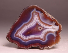 Coyamito agate half for sale  Tucson