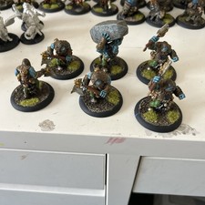 Warmachine hordes trollbloods for sale  FERNDALE