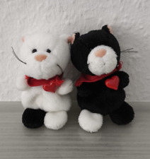 Nici katze katzen gebraucht kaufen  Hagen