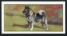 Elkhound 1961 barbers for sale  COLEFORD