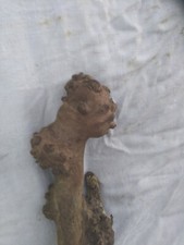 Drift wood branch for sale  TURRIFF