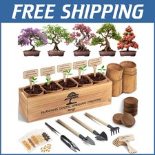 Indoor bonsai tree for sale  Vineland