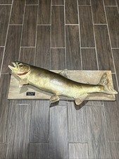 Vintage 1979 chinock for sale  Lawrenceburg