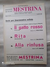 Peppino principe gatto usato  Chivasso
