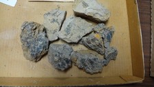 Geological enterprises cretace for sale  Ardmore