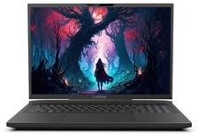 Captiva notebook highend gebraucht kaufen  Hamburg