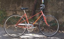 Olmo anni bicicletta usato  Italia
