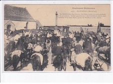 Plouhinec bénédiction chevau d'occasion  France