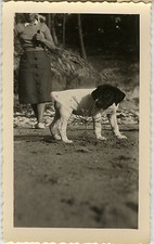 Photo ancienne vintage d'occasion  Paris XI