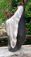 Large petrified fossil for sale  WREXHAM