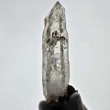 Lemurian phantom skelett gebraucht kaufen  Kaufering