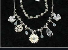 Pilgrim flourish flower for sale  NEWPORT