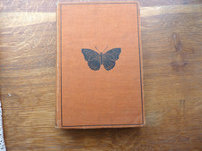 British butterflies moths for sale British butterflies moths for sale  ELY