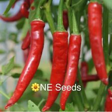 100 genuine cayenne for sale  NORTH SHIELDS