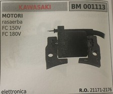 Bobina elettronica kawasaki usato  Ravanusa