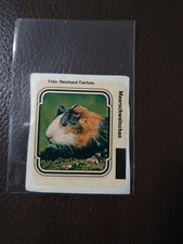 Ferrero hanuta sticker gebraucht kaufen  Gladbeck