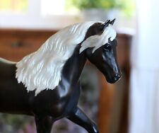 mountain horse for sale  Paris