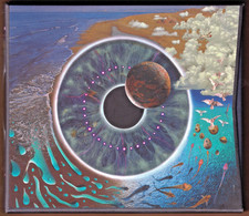 Usado, Pink Floyd Pulse CD 1995 2 Disc Box Set LED Flashing Light Original Batteries comprar usado  Enviando para Brazil