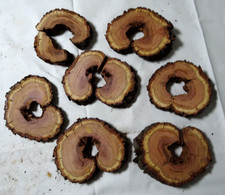 Hohle baumscheiben pflaume gebraucht kaufen Hohle baumscheiben pflaume gebraucht kaufen  Bad Kreuznach