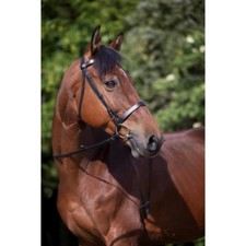 Bridon riding muserolle d'occasion  Loudun