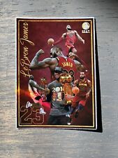 Lebron james basketball for sale  Chicago