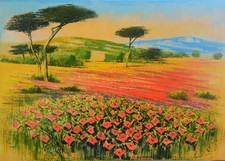 Mario soave olio usato  Concordia sulla Secchia