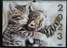 Katzen kalender 2023 gebraucht kaufen  Sondershausen