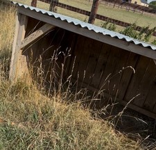 Sheep shelter for sale  STROUD