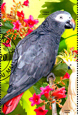 Tier wildtier vogel gebraucht kaufen  Unna