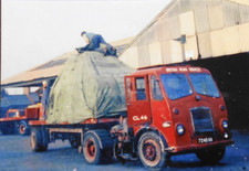 Col photo british for sale  GRANTHAM