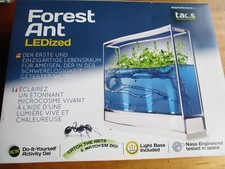 Ameisen terrarium forest gebraucht kaufen  Niemegk