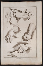 Mani anatomia del usato  Albano Laziale