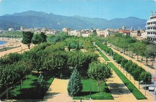 tenuta san guido d'occasion tenuta san guido d'occasion France