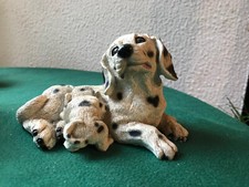 Chien dalmatien noir d'occasion  Toulouse-