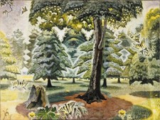 Rare artist charles for sale  Depew