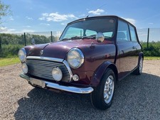 Rover mini rare for sale  MIDDLESBROUGH