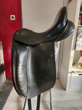 Windsor dressursattel 16 gebraucht kaufen  Quickborn