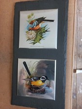 Chaffinch grey wagtail for sale  CHELMSFORD