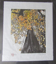 Maple tree woodcut for sale  Roseburg