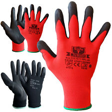 Pairs new coated for sale  LONDON