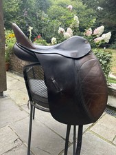 Albion legend dressage for sale  LYMINGTON