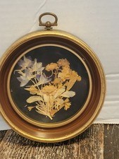 Vintage dried pressed for sale  Parkston