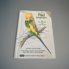 Pied budgerigars roy for sale  OSSETT